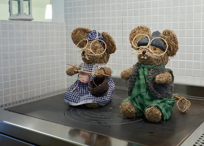 Katzenkopf Lejlighed *