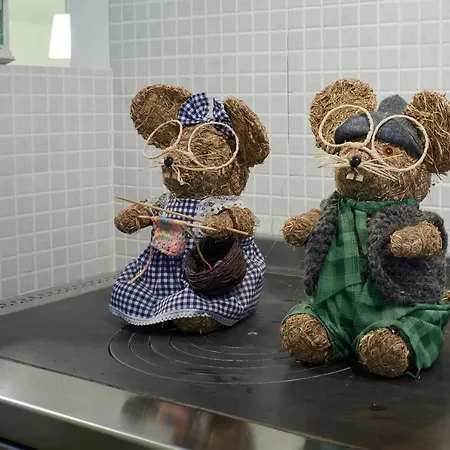 Katzenkopf Apartment *